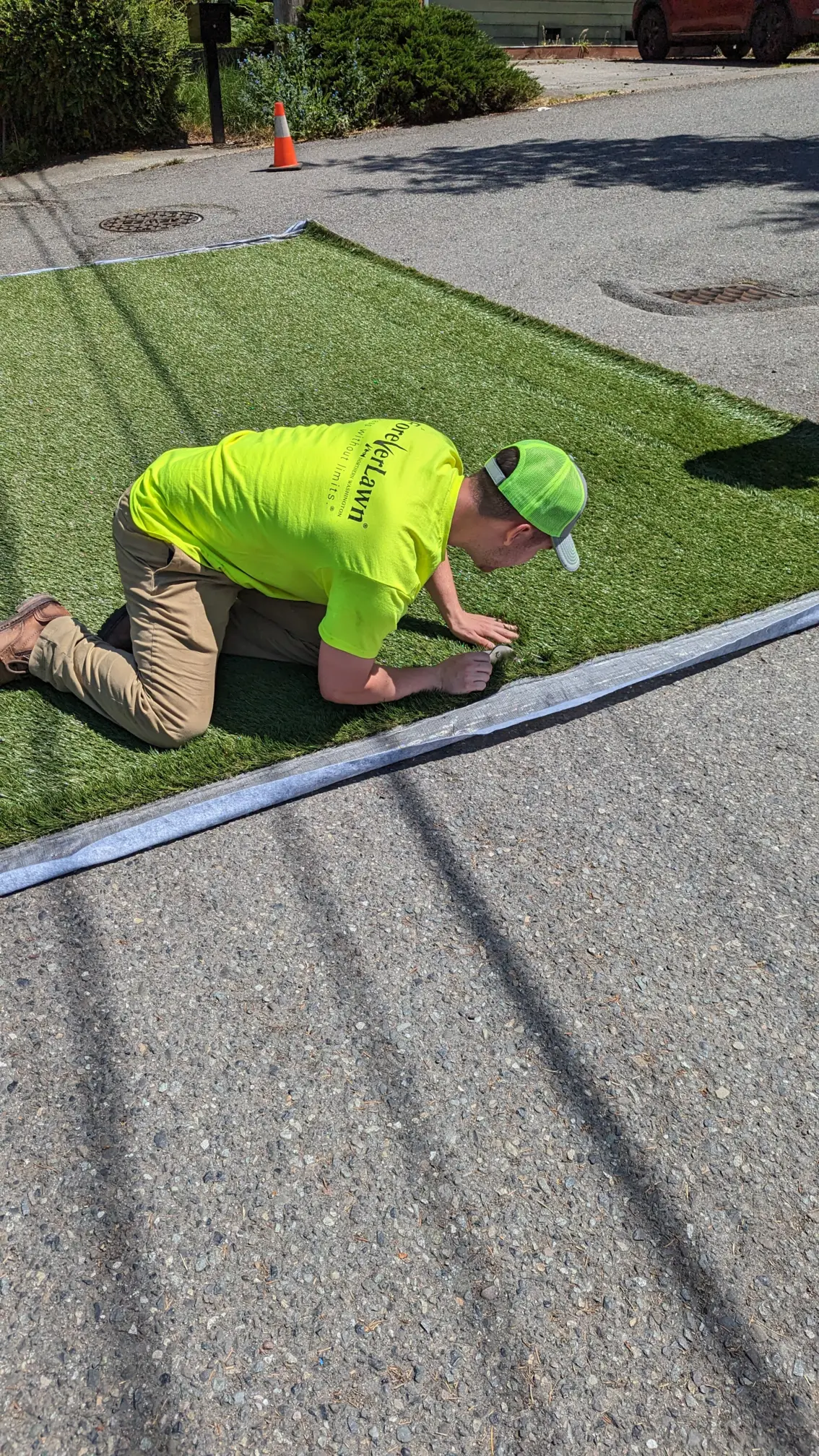 ForeverLawn Northern Washington