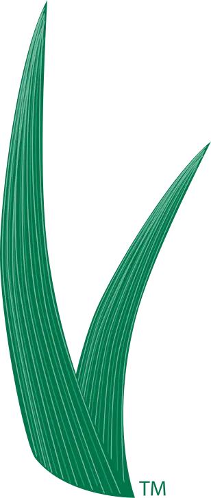 Your Local Premium Artificial Grass Service - Western Snohomish County & Northwest King County - ForeverLawn® Northern Washington