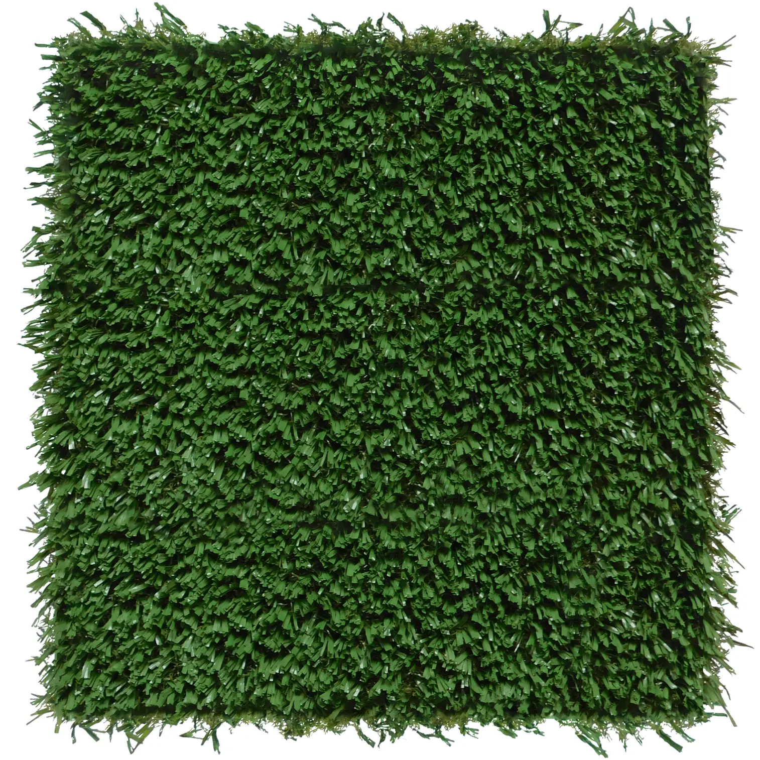 Arena - atheletic sports turf