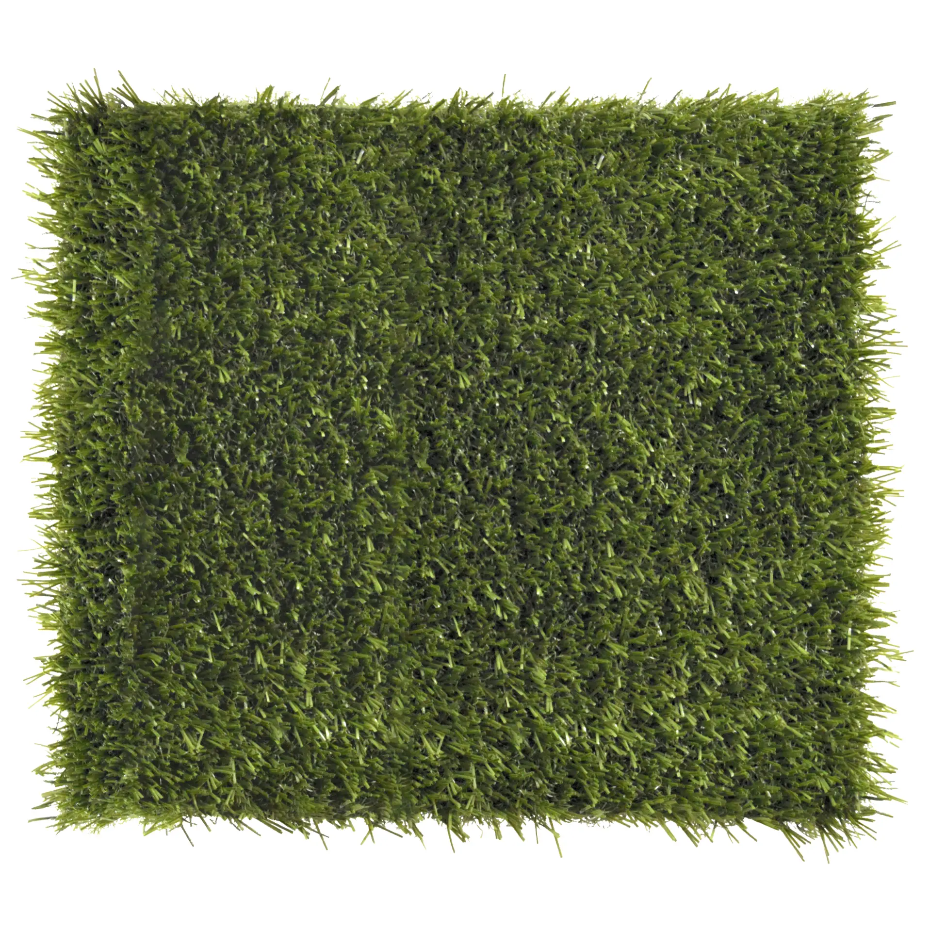 Trainer - atheletic sports turf