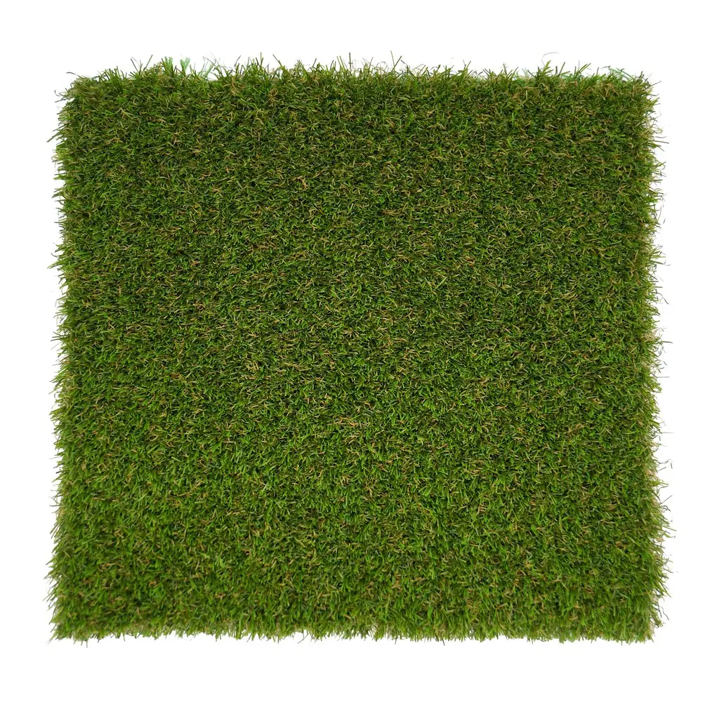 Eco - eco-friendly sythetic grass for dogs