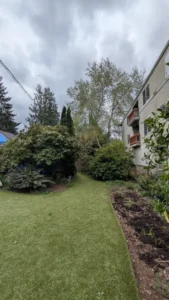 Synthetic grass lawn running between planted garden beds with shrubs and trees under cloudy sky