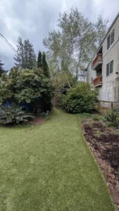 Synthetic grass lawn running between landscaped garden areas with trees and shrubs beside house