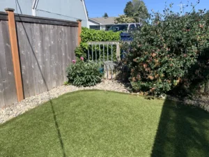 Artificial turf lawn installed in residential backyard bordered by wooden fence and greenery