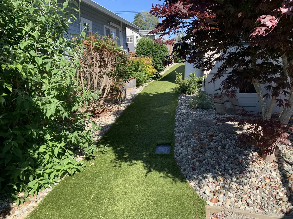 Artificial turf lawn pathway running between houses with ornamental trees and rock landscaping on sides